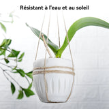 Creality - Hyper PETG